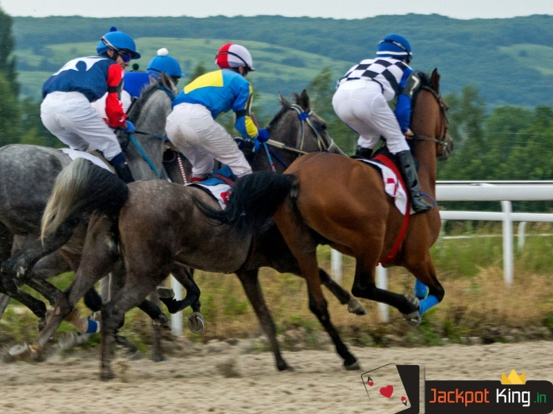 Online Horse Race Betting in India