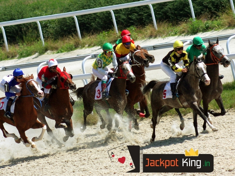 Betting Tips for Online Horse Race